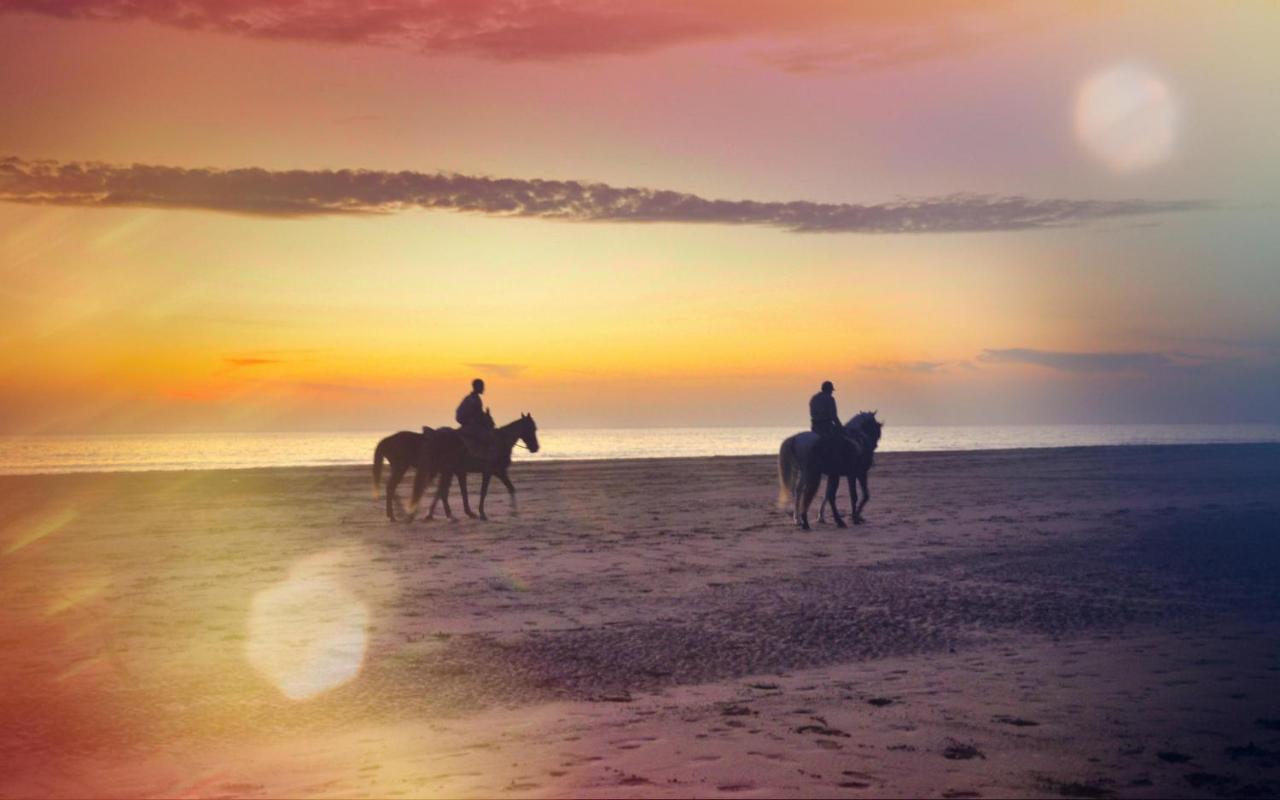 Blue Wave Lodge Agadir n'Ait Sa Buitenkant foto
